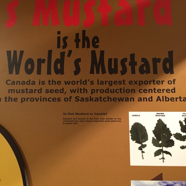 Foto tomada en National Mustard Museum  por lyza k. el 10/22/2017