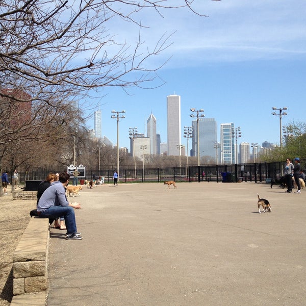 Are Dogs Allowed In Grant Park Chicago