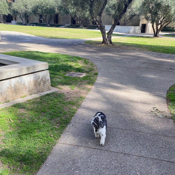 2/13/2021にR C.がカリフォルニア工科大学で撮った写真