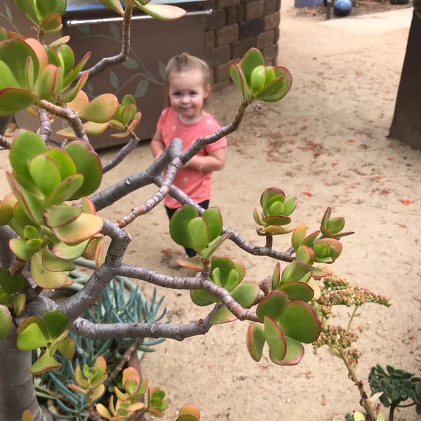 The Water Conservation Garden at Cuyamaca College El Cajon, CA