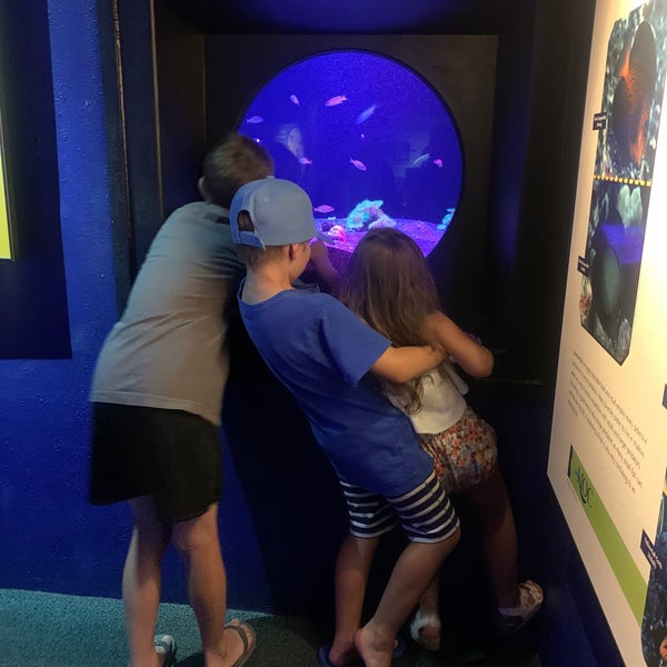 7/26/2022 tarihinde Samantha N.ziyaretçi tarafından Maui Ocean Center, The Hawaiian Aquarium'de çekilen fotoğraf