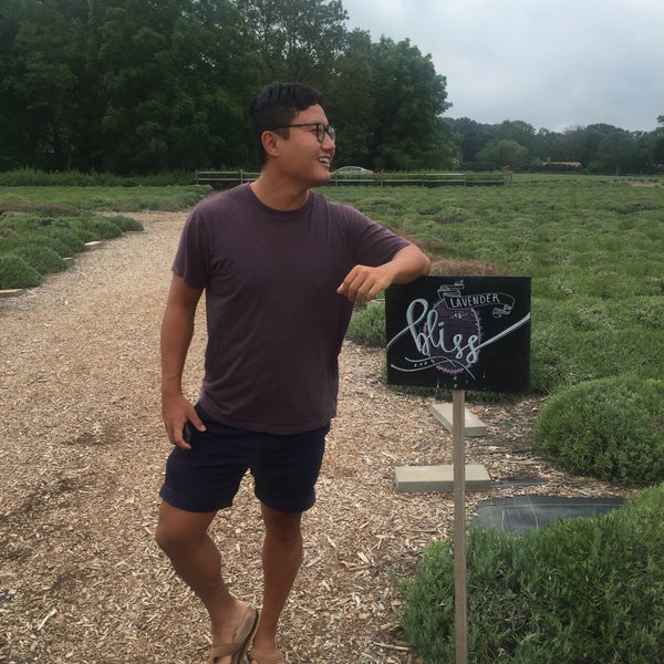 Designed for Insta pics. Fields are pretty, with lavender chairs and lots of Insta-ready chalkboard signs. Worth a short visit.