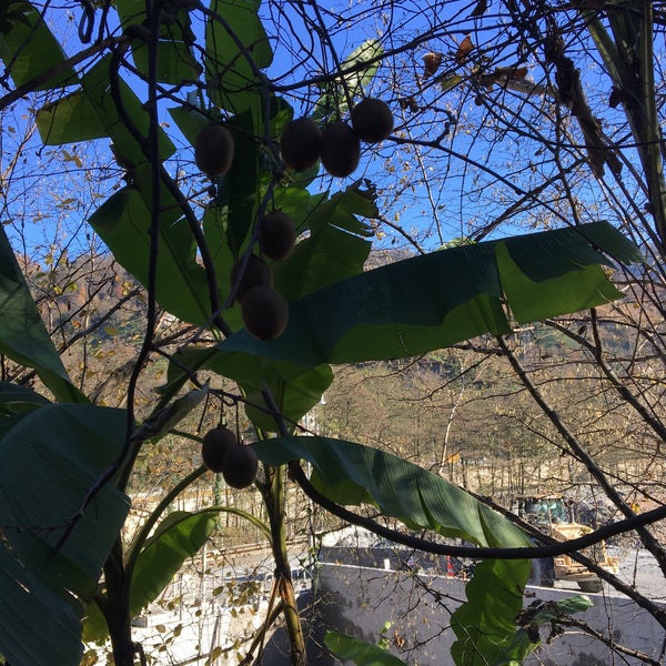 Photo taken at Çayeli Bakır İşletmeleri by Bülent G. on 12/17/2019