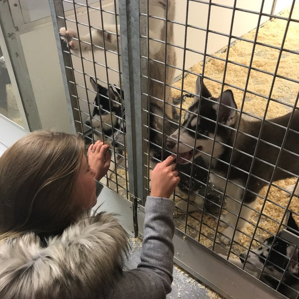 Photos à Animals Express Zellik, Brabant Flamand