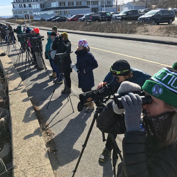 The Elks at Bass Rocks East Gloucester 101 Atlantic Rd