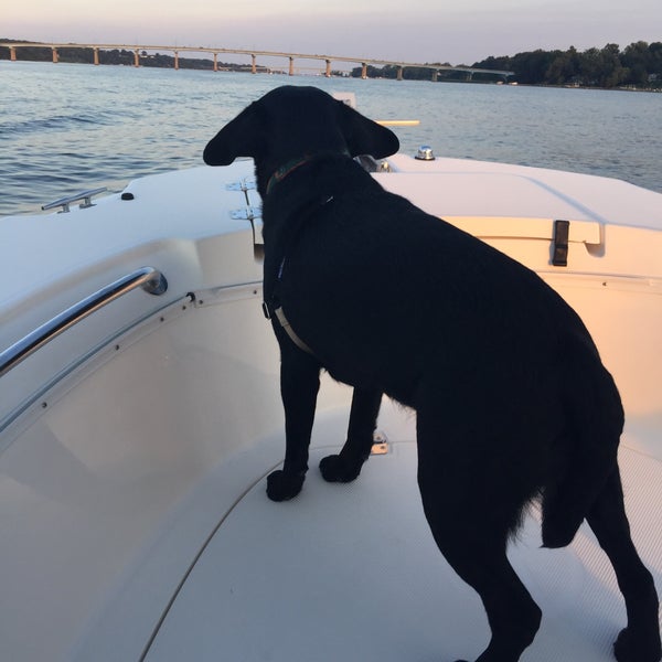 Truxton Park Boat Ramp Harbor or Marina in Annapolis