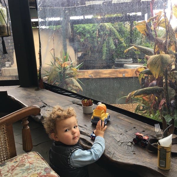 Sol Bar & Cafe Waiheke Oneroa, Auckland