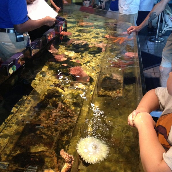 No Bone Zone Florida Aquarium Channel District 2 tips from 166 visitors