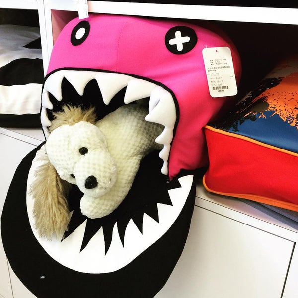 Olympic Pet Shop Los Angeles'te Evcil Hayvan Malzemeleri Mağazası