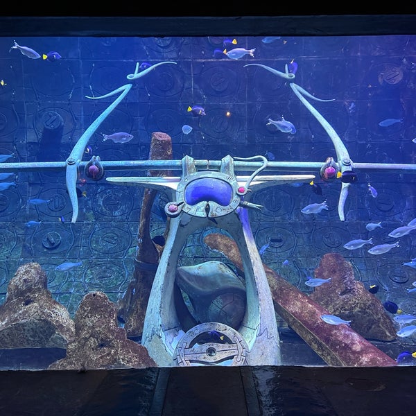 Photo taken at The Lost Chambers Aquarium by Vsevolod A. on 4/2/2023