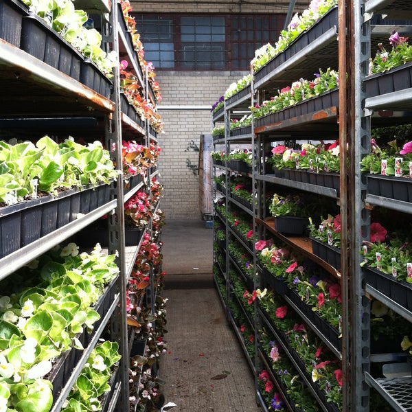 Brooklyn Terminal Market Canarsie 7 tips from 423 visitors