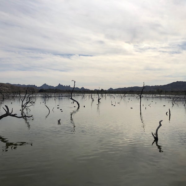 Catfish Paradise Day Use Area Boat Launch