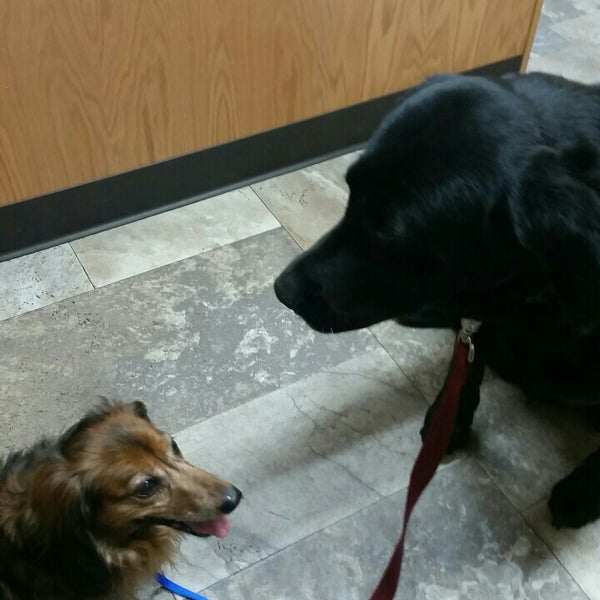 Sioux Nation Pet Clinic Pet Service in Sioux Falls