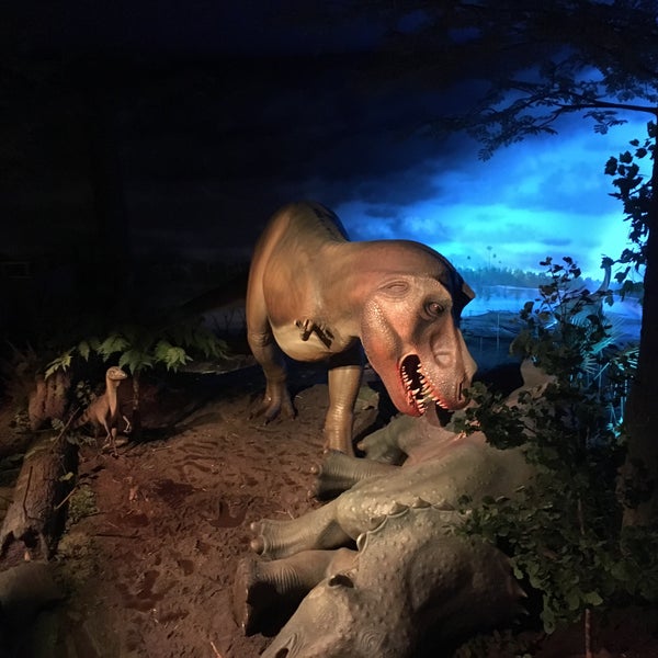 Photo taken at Milwaukee Public Museum by Shawn S. on 8/4/2017