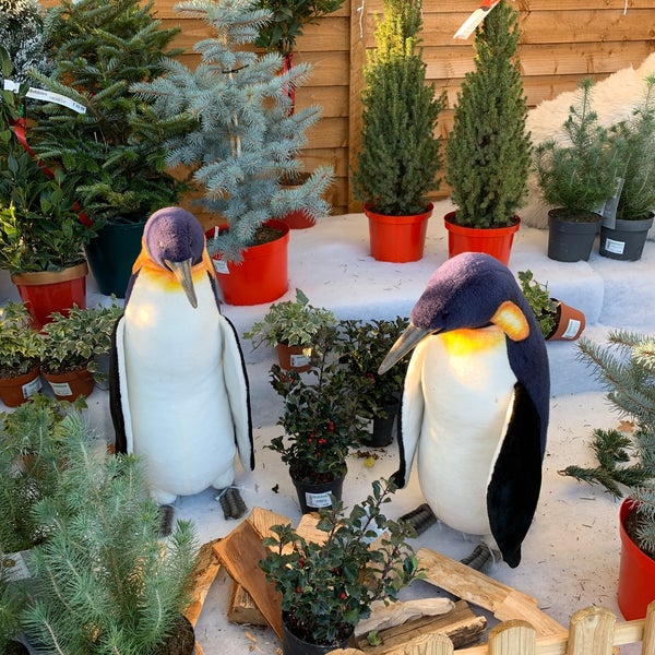 Photos At Dobbies Garden Centre Havant Garden Center