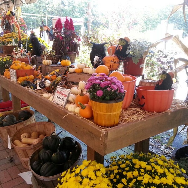 Lake Street Garden Center Miscellaneous Shop
