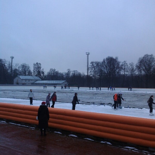 Удельный парк каток