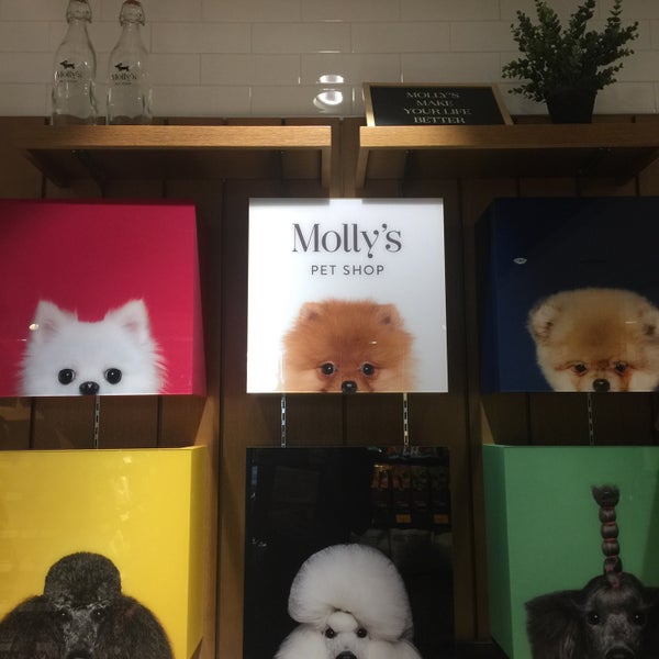 Molly's Pet Shop 반포4동 서울특별시, 서울특별시