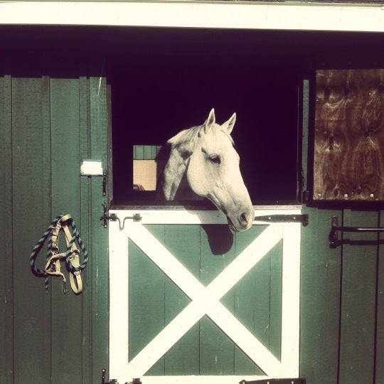 Photo taken at Bergen County Equestrian Center by Natalia Q. on 10/13/2012