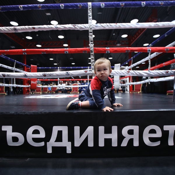 Клуб бульдог краснодар