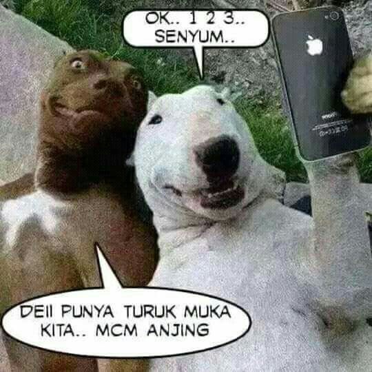 Photos At Kg Kandazon Penampang 5 Tips From 165 Visitors