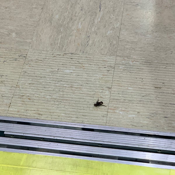 Photos At 山口大学共同獣医学部臨床病理学研究室 7 Visitors