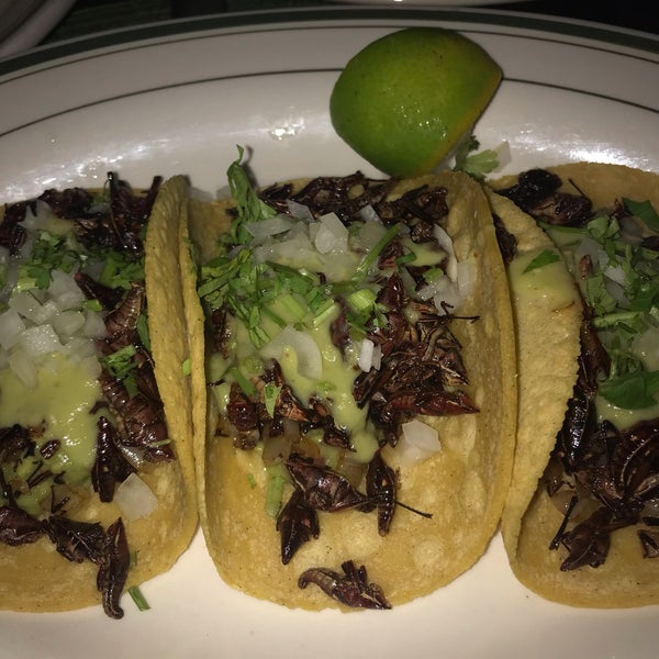 9/6/2019 tarihinde Masha D.ziyaretçi tarafından Tacuba Mexican Cantina'de çekilen fotoğraf