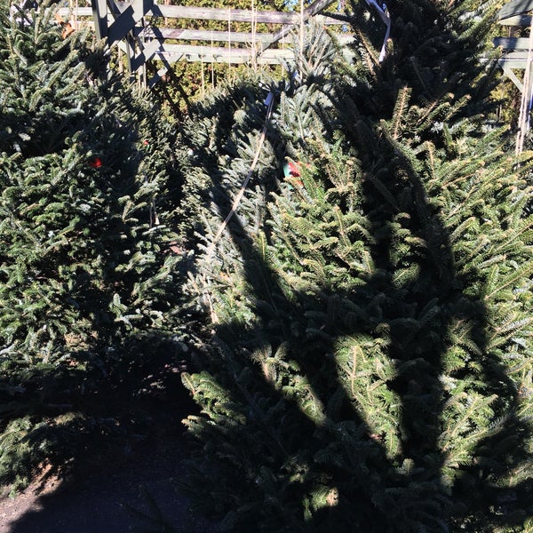 Photos At Town Country Farm Garden Center Georgetown Ct