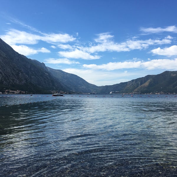 Амир ораховац