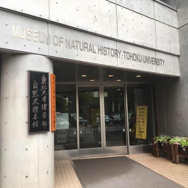 東北大学理学部自然史標本館 青葉区荒巻字青葉6 3 東北大学理学部自然史標本館 青葉区荒巻字青葉6 3