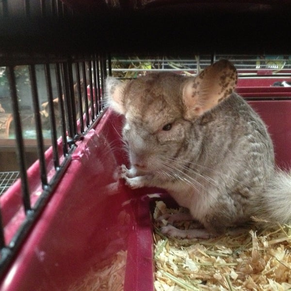 Aquarium Outfitters 1 tip from 86 visitors