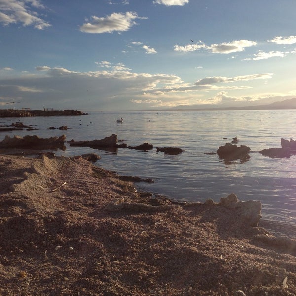 Salton Sea State Recreation Area State / Provincial Park in Mecca