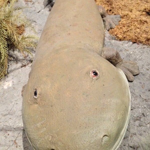 Photo prise au Las Vegas Natural History Museum par Jac le3/11/2013