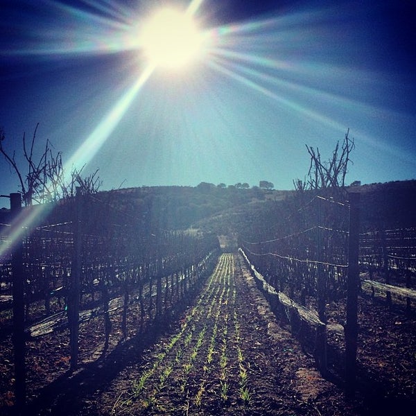 Photo taken at Foley Estates Vineyard &amp; Winery by Jesse F. on 12/14/2013