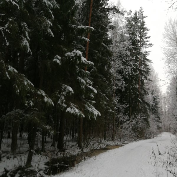 Невский лесопарк лыжная база