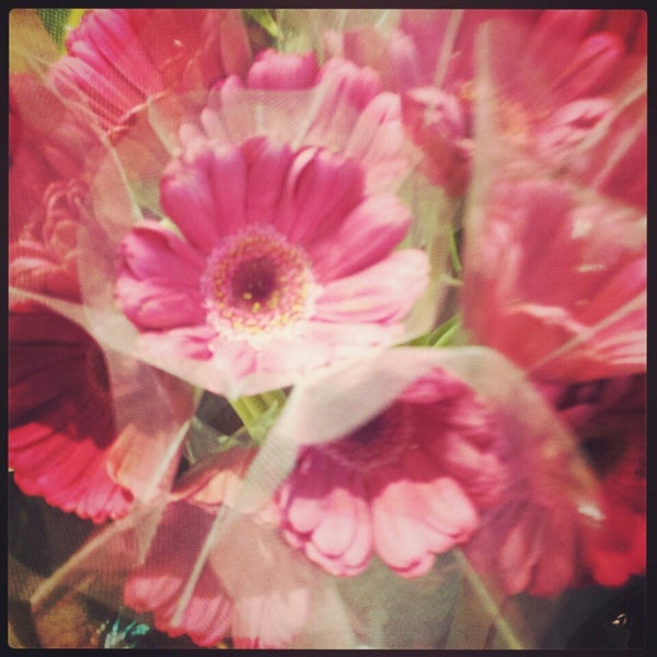 Fotos Bei Fleurage Un ルミネ新宿1店 Jetzt Geschlossen 西新宿1 1 5