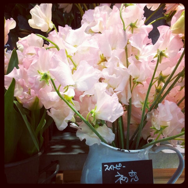 証言 逃れる 約 新宿 ルミネ 花瓶 アリーナ 魅力的 褐色