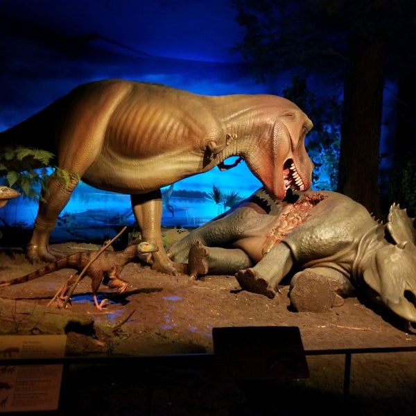 Photo taken at Milwaukee Public Museum by Joey R. on 2/23/2020
