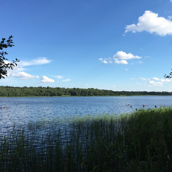 Орлинское озеро и село Орлино, Гатчинский район Другие места Дзен