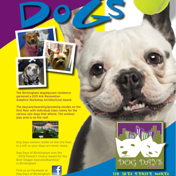 You can purchased daycare and boarding packages on our website now.  Go check it our. www.dogdaysofbirmingham.com