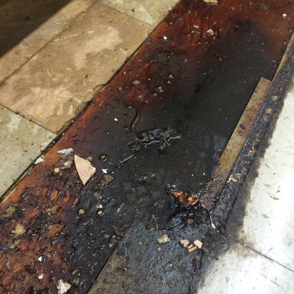 Cherry Valley Marketplace East New York Brooklyn, NY