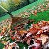 Winter is here and the leafs have fallen. Give us a call for leaf clean up services or go to our site at www.bladesofgrasslawncare.com