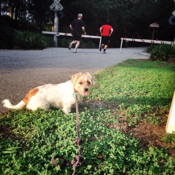 McLeod Rail Trail Trail