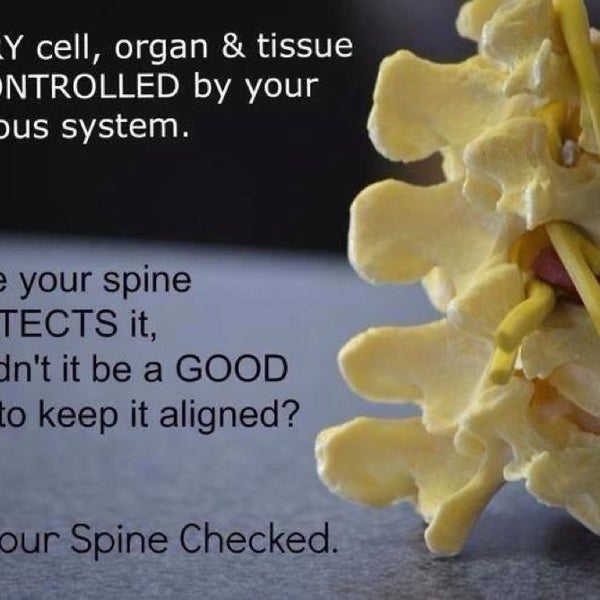 Embrace Wellness & Chiropractic, PLLC Chiropractor