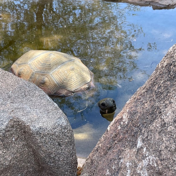Foto diambil di Phoenix Zoo oleh Michelle pada 5/22/2021