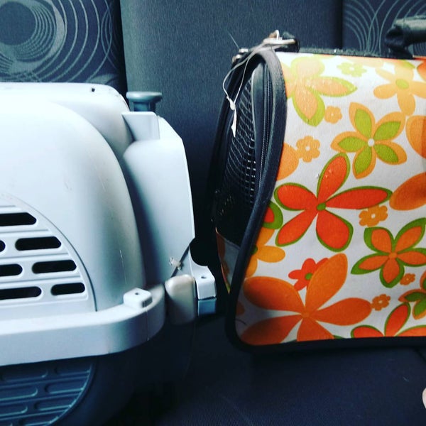 Klinik Veterinar Muezza Now Closed Gombak Kuala Lumpur Kuala Lumpur 3 Tips From 352 Visitors