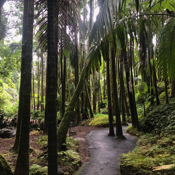 Снимок сделан в Hawaii Tropical Botanical Garden пользователем Sara A. 12/10/2018