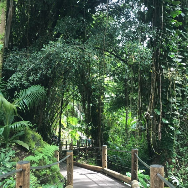 Foto scattata a Hawaii Tropical Botanical Garden da Sara A. il 12/10/2018