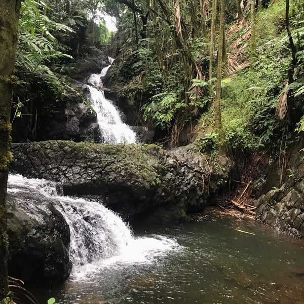 รูปภาพถ่ายที่ Hawaii Tropical Botanical Garden โดย Sara A. เมื่อ 12/10/2018