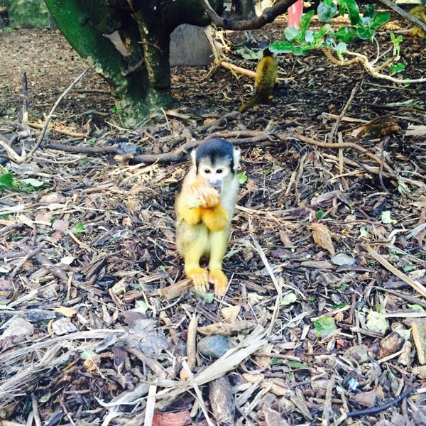 Снимок сделан в Wellington Zoo пользователем Anis W. 5/17/2014